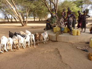 Studna v Kotela Akali, Turkana 2015
