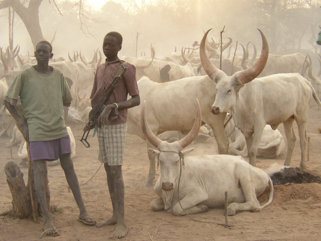 Mladí pastieri dobytka si chránia svoje stáda. 